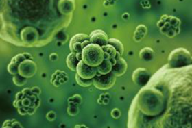 微生物检测1 .png